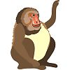 �T���̃C���X�g
