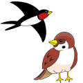 �c�o���E�X�Y���̃C���X�g