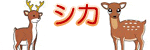 �V�J�̃C���X�g