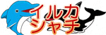 �C���J�E�V���`�̃C���X�g