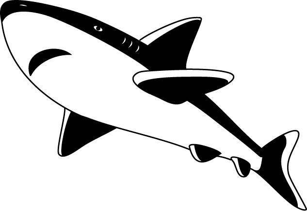 サメとクジラの素材 白黒 イラストポップ サメ 素材イラスト画像集 Naver まとめ