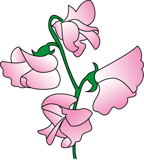 春の花のイラスト2 花の素材 イラストポップ 春のイラスト画像まとめ Naver まとめ