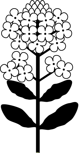 春の花のイラスト3 花の素材 イラストポップ 白黒 菜の花イラスト画像まとめ Naver まとめ