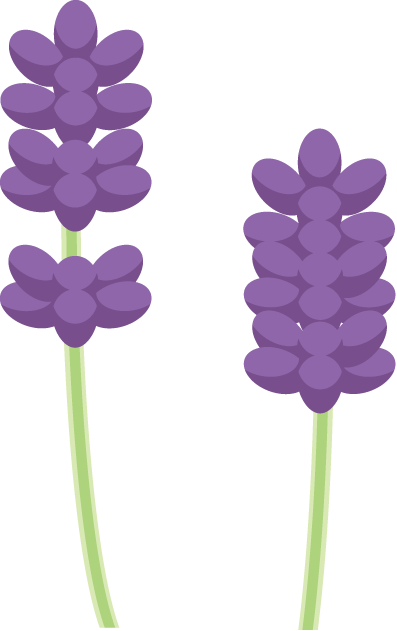 free lavender flower clip art - photo #10