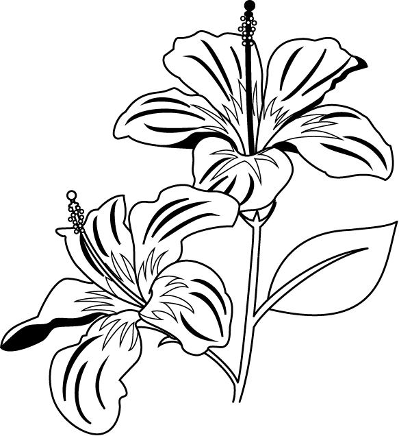 yellow hibiscus coloring pages - photo #22