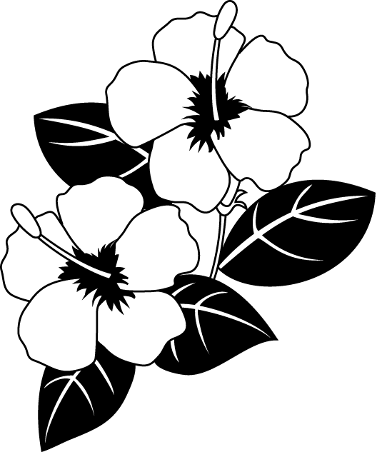 夏の花のイラスト1 花の素材 イラストポップ 白黒 ハイビスカスイラスト画像 Naver まとめ