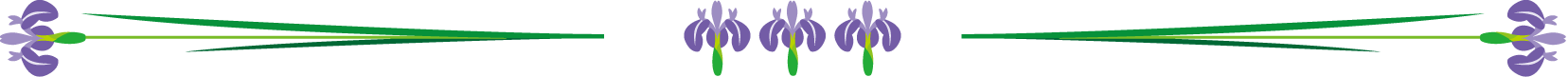 春の花の飾り罫21-カキツバタイラスト