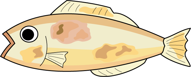 魚料理23-焼き魚 イラスト
