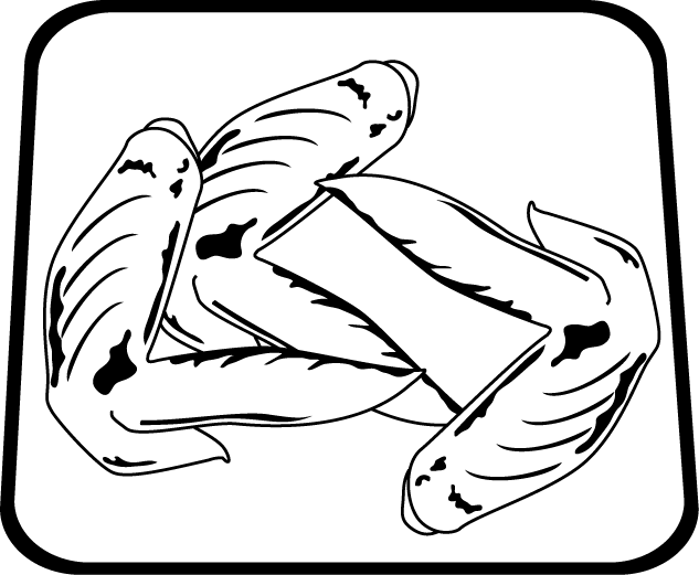 clip art for chicken wings - photo #14