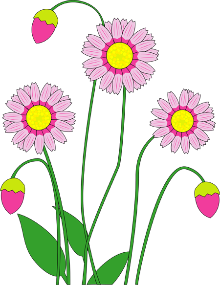 イラストポップ | 植物イラスト-初夏の花素材が無料