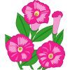 �y�`���j�A�̃C���X�g