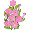 �y�`���j�A�̃C���X�g