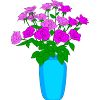 バラの花のイラスト