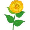 バラの花のイラスト