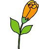 バラの花のイラスト