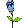 バラの花のイラスト