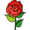 バラの花のイラスト