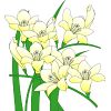 �t���[�W�A�̃C���X�g