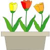 �`���[���b�v�̃C���X�g