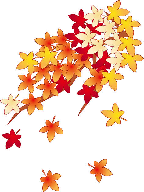 もみじチラチラ 秋の紅葉 ハロウィンイラスト 秋の紅葉の写真 癒しの動画 旅行 画像素材集 Naver まとめ