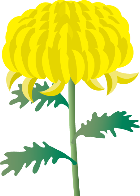 もみじ 紅葉 晩秋 木の実 季節 秋の素材 11月 イラストポップ 菊 画像 Chrysanthemum Photos Postcardにしたい花シリーズ Naver まとめ