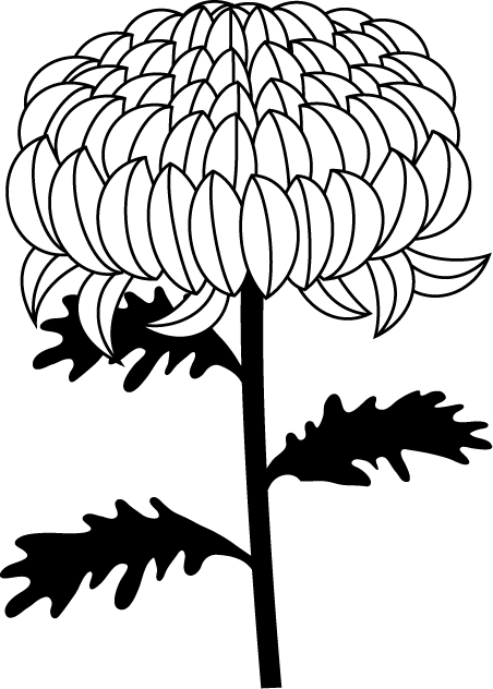 もみじ 紅葉 晩秋 木の実 季節 秋の素材 11月 イラストポップ 白黒 菊 画像 Chrysanthemum Photos Postcardにした Naver まとめ