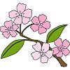 �t�̃C���X�g2