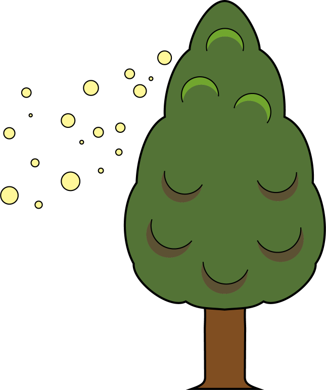 イラストポップの幼児教育素材 ３月no18杉花粉を飛ばす杉の木の無料イラスト