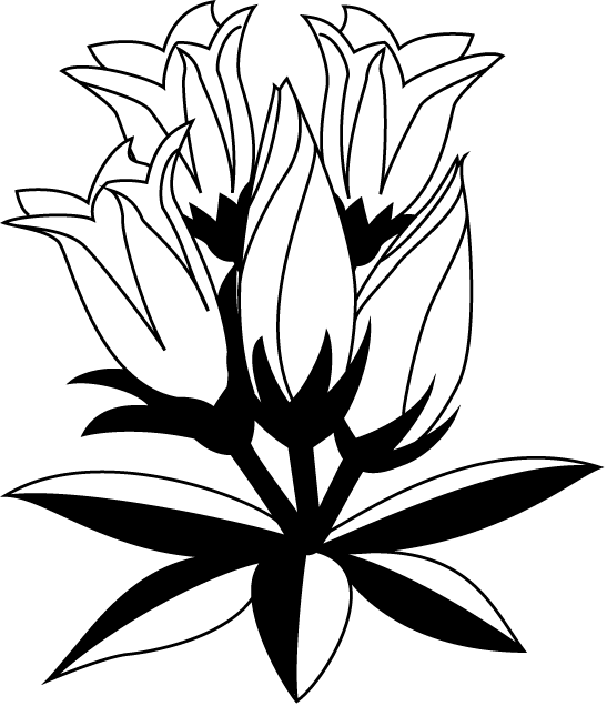 秋の花1 04 リンドウ 花の無料イラスト素材 イラストポップ