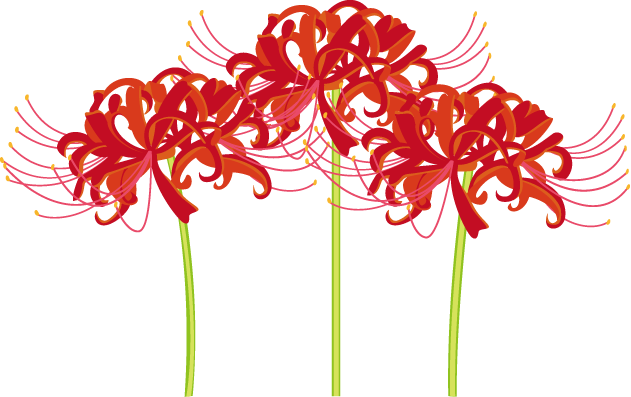 最新のhd9月の花 イラスト 無料 美しい花の画像