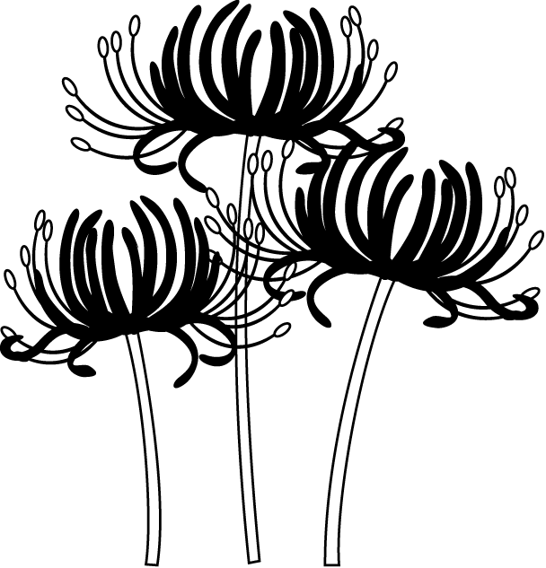 ロイヤリティフリー白黒 彼岸花 イラスト フリー 美しい花の画像
