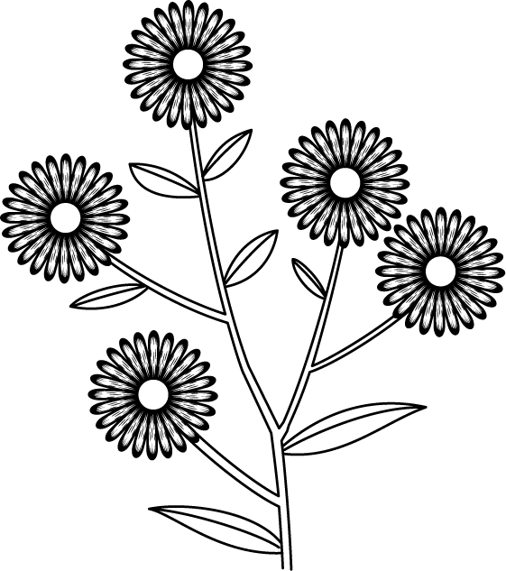 秋の花2 10 ユウゼンギク 花の無料イラスト素材 イラストポップ