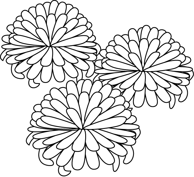 秋の花2 16 菊 花の無料イラスト素材 イラストポップ