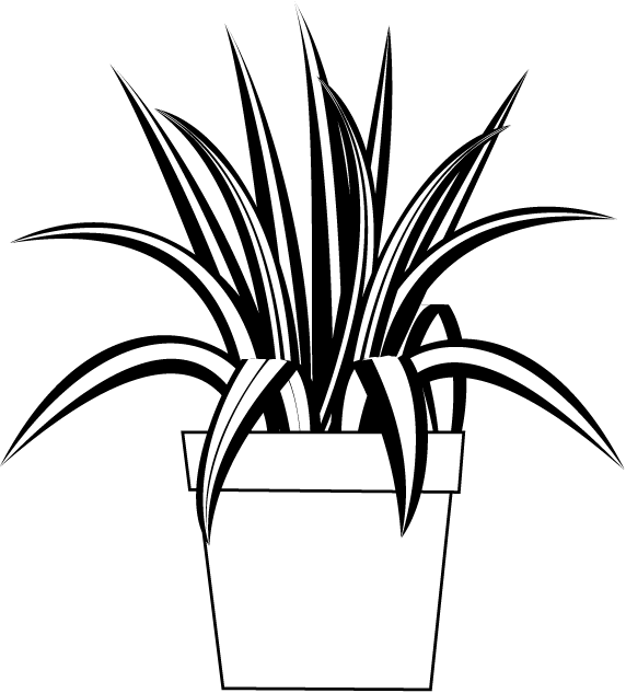特集3 01 観葉植物 花の無料イラスト素材 イラストポップ