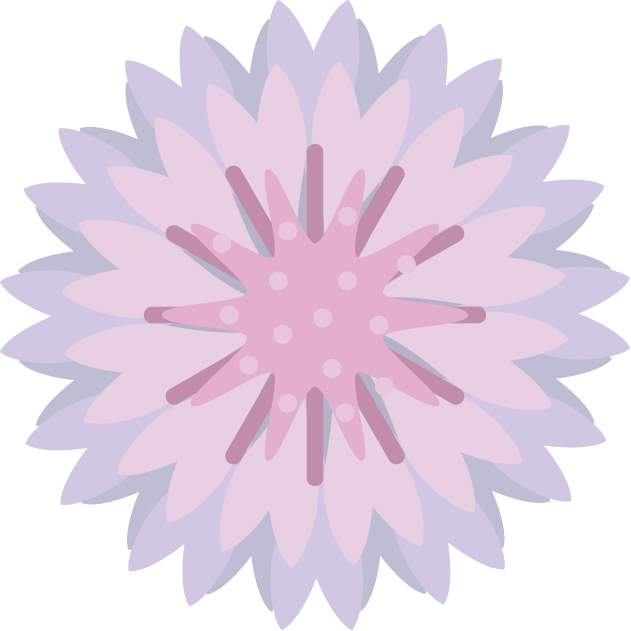 春の花1-21-やぐるま菊イラスト