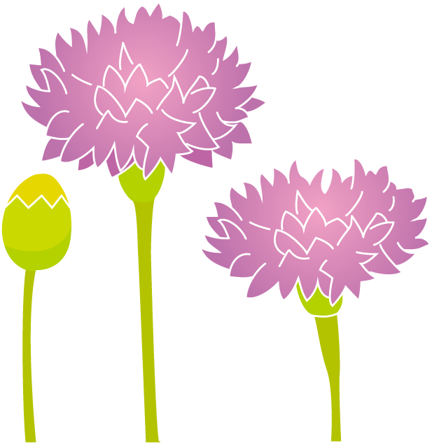 春の花1-23-やぐるま菊イラスト