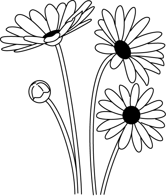 春の花2 03 マーガレット 花の無料イラスト素材 イラストポップ
