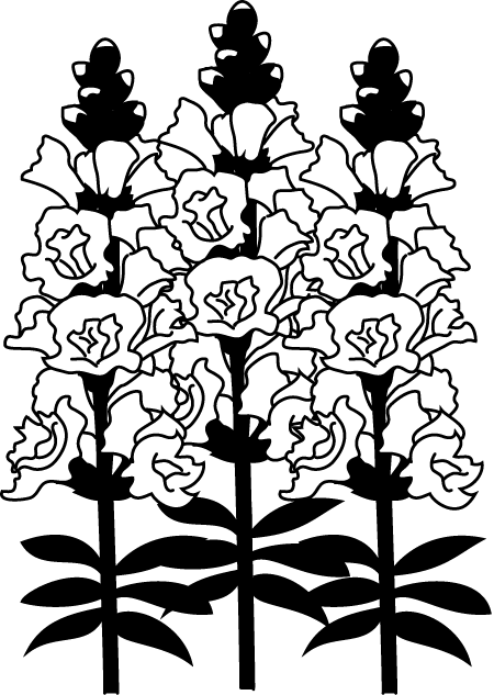春の花2 12 キンギョソウ 花の無料イラスト素材 イラストポップ