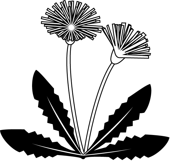 春の花3 05 たんぽぽ 花の無料イラスト素材 イラストポップ