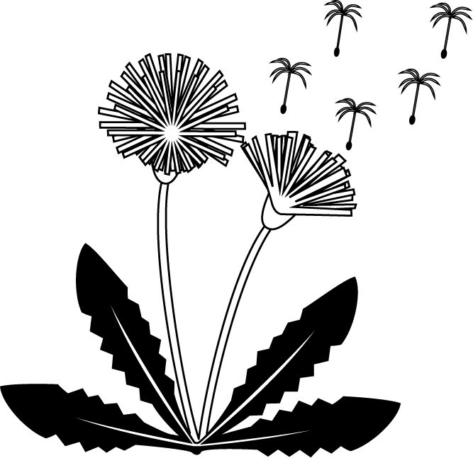 たんぽぽ イラスト 白黒 花の画像無料