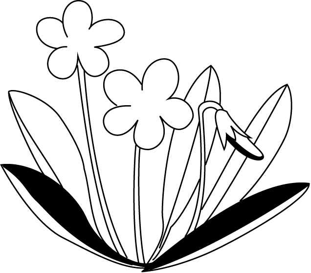 春の花3 13 すみれ 花の無料イラスト素材 イラストポップ