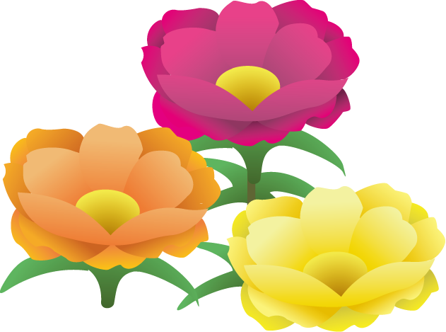 夏の花1 12 マツバボタン 花の無料イラスト素材 イラストポップ