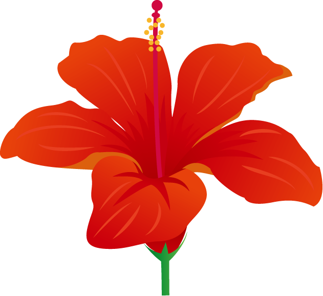 夏の花1 13 ハイビスカス 花の無料イラスト素材 イラストポップ