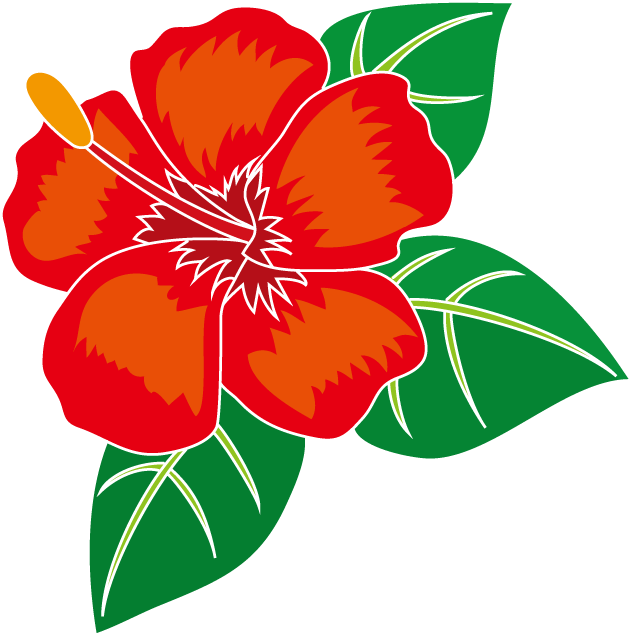夏の花1 15 ハイビスカス 花の無料イラスト素材 イラストポップ