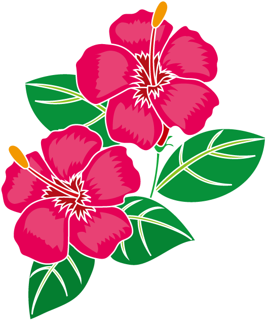 夏の花1 16 ハイビスカス 花の無料イラスト素材 イラストポップ