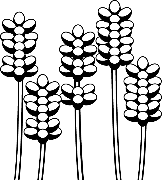 夏の花1 06 ラベンダー 花の無料イラスト素材 イラストポップ
