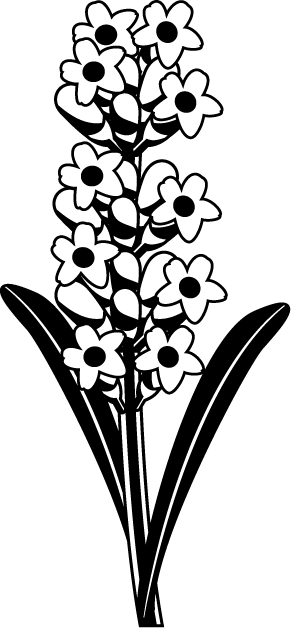 夏の花1 07 ラベンダー 花の無料イラスト素材 イラストポップ