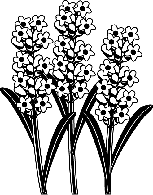 夏の花1 08 ラベンダー 花の無料イラスト素材 イラストポップ
