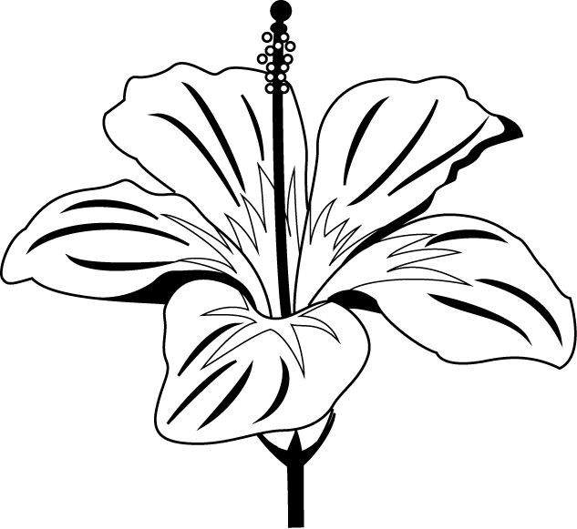 夏の花1 13 ハイビスカス 花の無料イラスト素材 イラストポップ