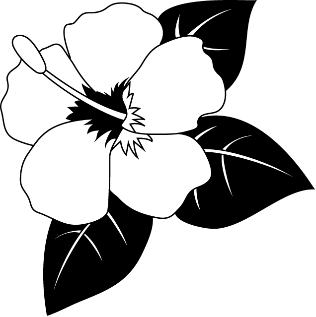 夏の花1 15 ハイビスカス 花の無料イラスト素材 イラストポップ
